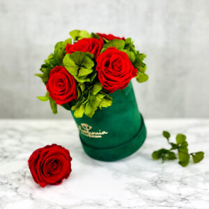 THE HOPE – Evighetsrosor röda med hortensia 1 - Velvet Green 2
