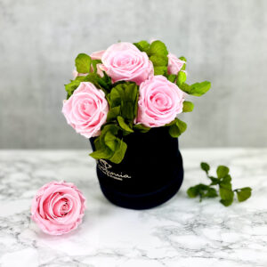THE HOPE – Evighetsrosor rosa med hortensia 1 - Velvet Black Midnight 2